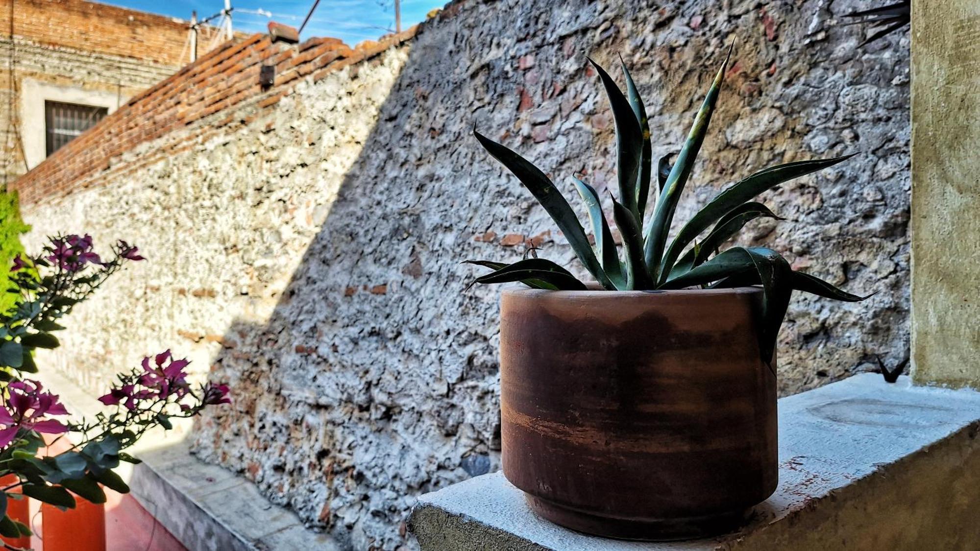 Hotel el Descanso Barrio del Artista Heroica Puebla de Zaragoza Exterior foto