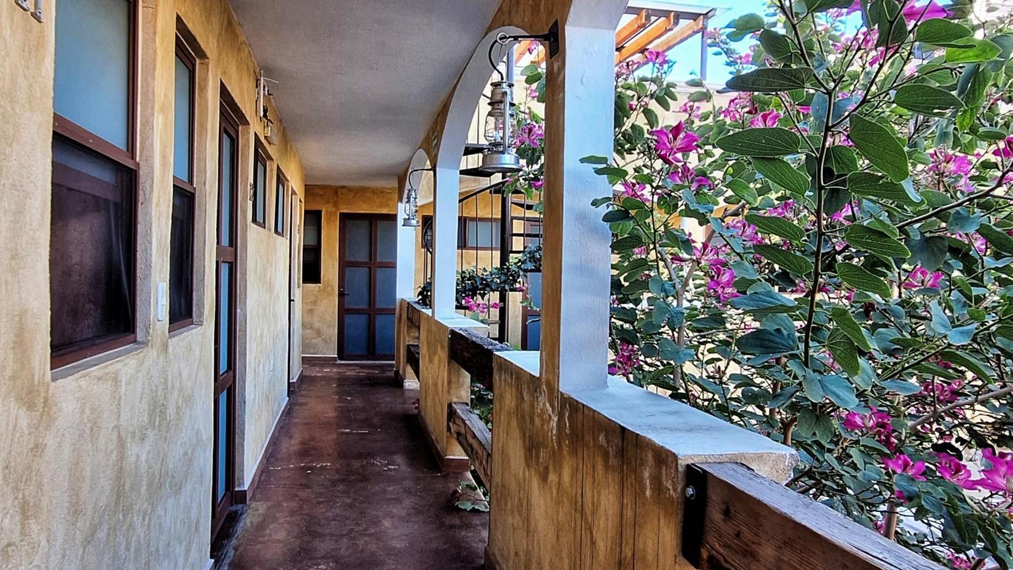 Hotel el Descanso Barrio del Artista Heroica Puebla de Zaragoza Exterior foto