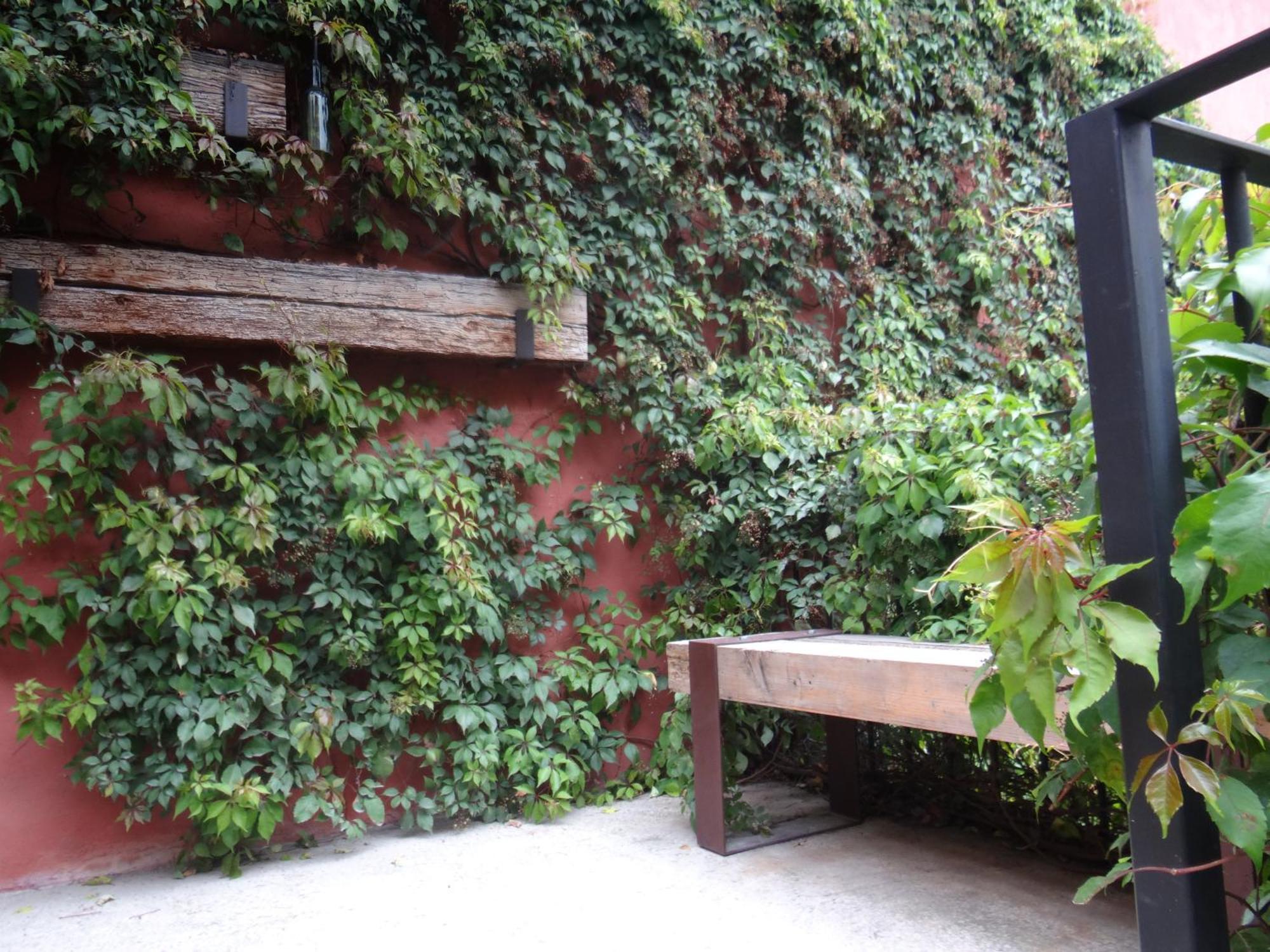 Hotel el Descanso Barrio del Artista Heroica Puebla de Zaragoza Exterior foto